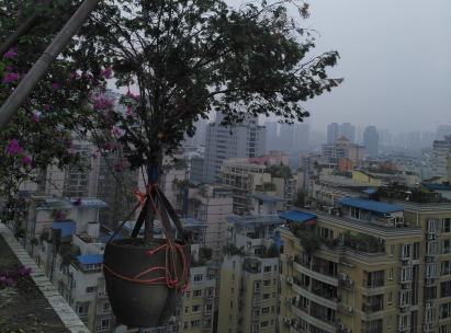 人力搬运-盆景下楼